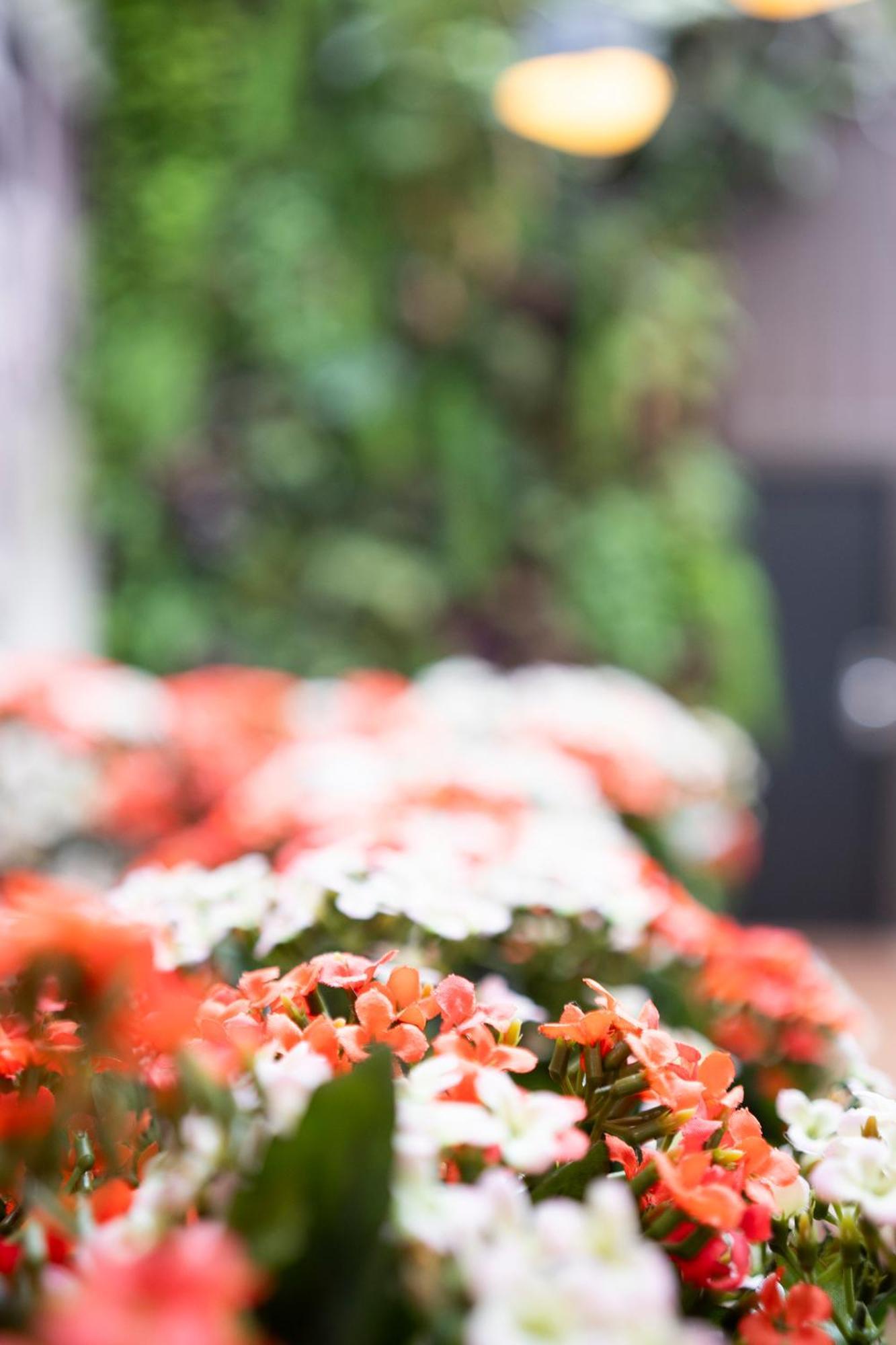 Hotel Aida Marais 3*